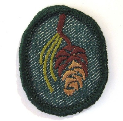 Vintage 1955-1960 Girl Scout PINE CONE TROOP CREST Forest Tree Patch Badge