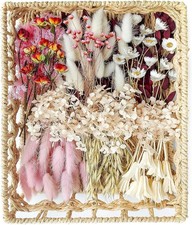 DIY Natural Dried Flower Set for Vase, Bulk Boho Flowers with Pink