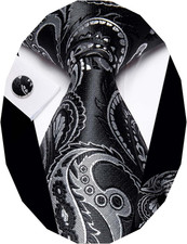 Paisley Tie Sets Floral Necktie Handkerchief Cufflinks Set Silk Woven Ties Busin