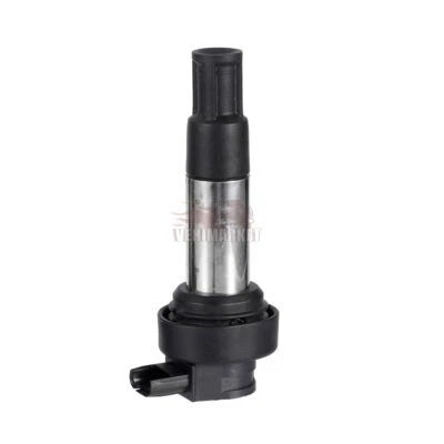 Bobine Allumage Crayon pour BMW K1600 Bagger 2016-2019 K1600GTL Exclusive 14-16 - Photo 1/4