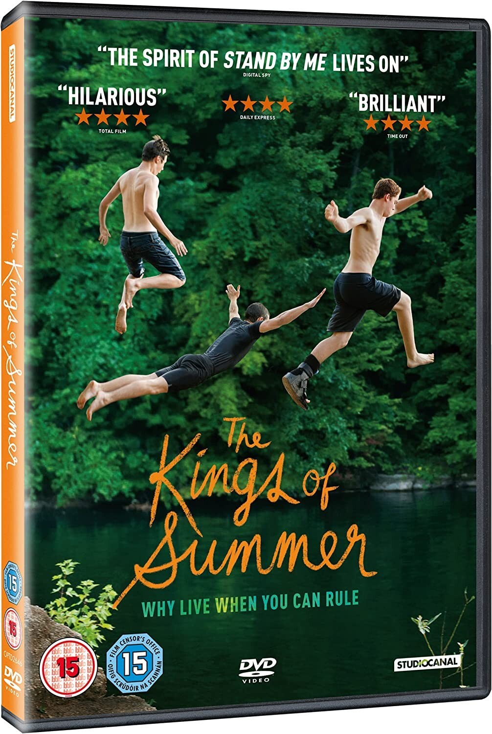 The Kings of Summer DVD (2013)   **NEW**