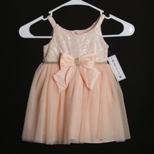 Sweet Heart Rose Pink Tulle Dress 24M