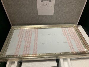 Pottery Barn Kids Wall Silver Leaf First Year Frame Nursery Photo