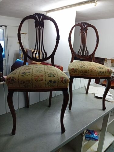 pair of edwardian oval backed upholstered dining chairs a matching pair