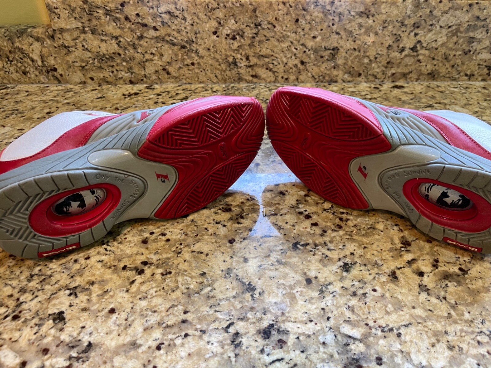 ALLEN IVERSON I3 BASKETBALL SHOES (2001)