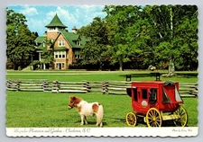 Magnolia Plantation & Gardens Charleston SC Mini Horse Farm Postcard