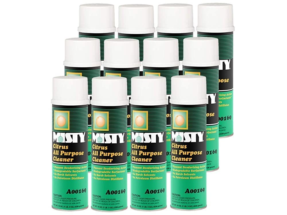 MISTY Citrus All-Purpose Cleaner - 19 oz (Case of 12) 1001583