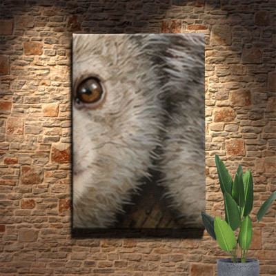Koala family in eucalyptus tree Canvas Art with three cuddling koalas