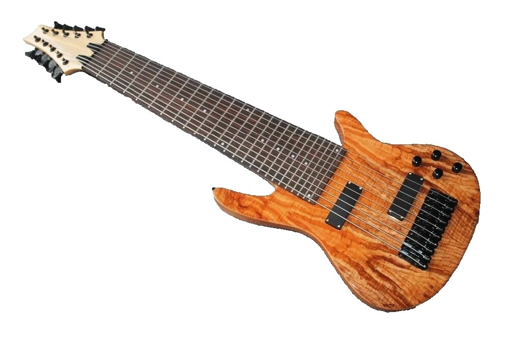 10 String Bass Guitars