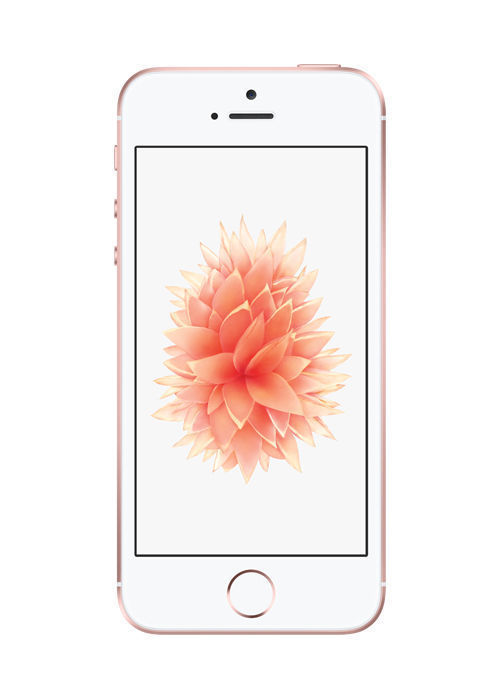 Apple iPhone SE (Latest Model) - 16GB - Gold (Factory Unlocked) Smartphone