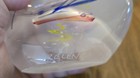 Mike Michael Zelenka Hand Blown Signed Art Glass MCM Rare Sculpture Paperweight  — photo 5