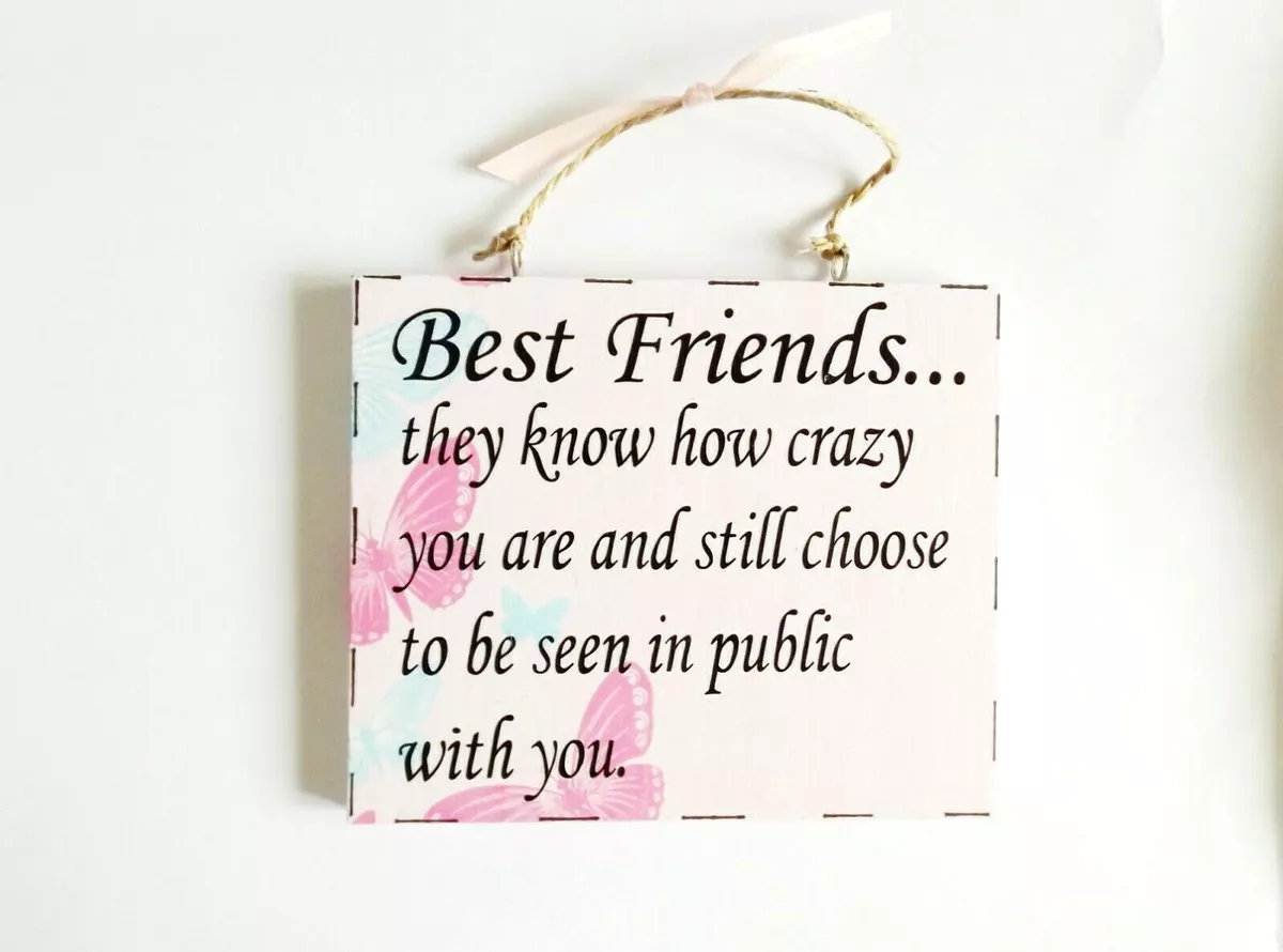 Crazy Best Friends Quote Wall Plaque Sign Home Decor Funny ...