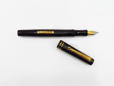 PENNA STILOGRAFICA FOUNTAIN PEN DELTA ASTRA EBANITE MID SIZE NUOVA SENZA BOX