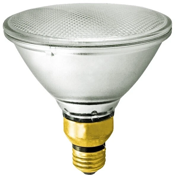 SYLVANIA PAR38 Bulb Shape Code Light Bulbs