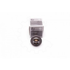 Thermostat Skoda FABIA