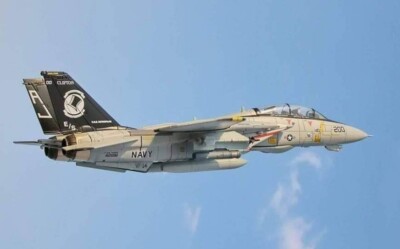 Digital Photograph US Navy Grumman F-14 Tomcat-Overall 8 1/2'' X11''-New!