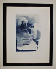 JEFFREY NELSON Original Hand SIGNED Cyanotype Photography 