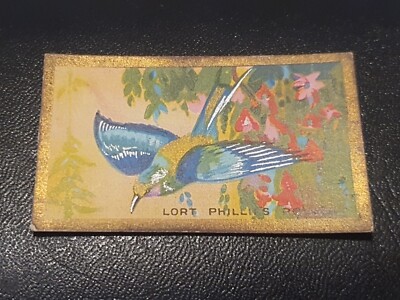 Cavanders Zigarettenkarte Foreign Birds #15 Lort Phillips Roller (D18)