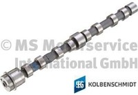 Kolbenschmidt 50007048 Nockenwelle FüR Fiat FüR Iveco FüR Peugeot