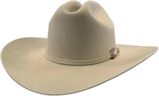 Texana Original Tombstone 20X Estilo Sinaloa (Chaparral) con Plumas - Beige
