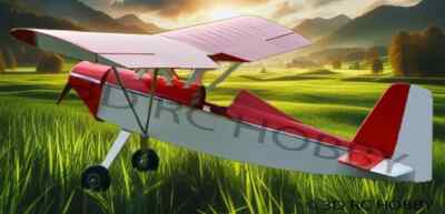 Armar Gorrion Sparrow 75'' Wingspan RC Model Airplane Plans & Templates PRINTED