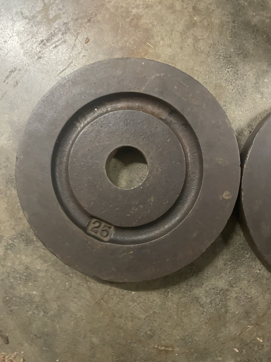 Paire D'assiettes De Fonte YORK Vintage 2 X 25 Lb (50 Lb Total) - Standard 1 Pouce