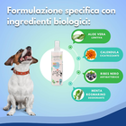 Foto 4 di 12