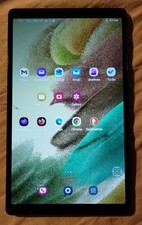 Samsung Galaxy Tab A7 Lite 8.7  /gray/64gb/wifi Only -fully Functional, 1 Issue 