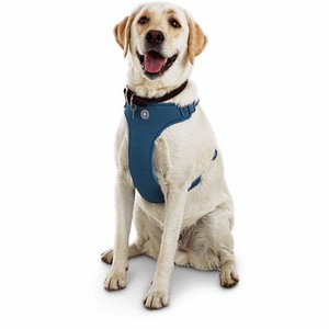 x large dog harness