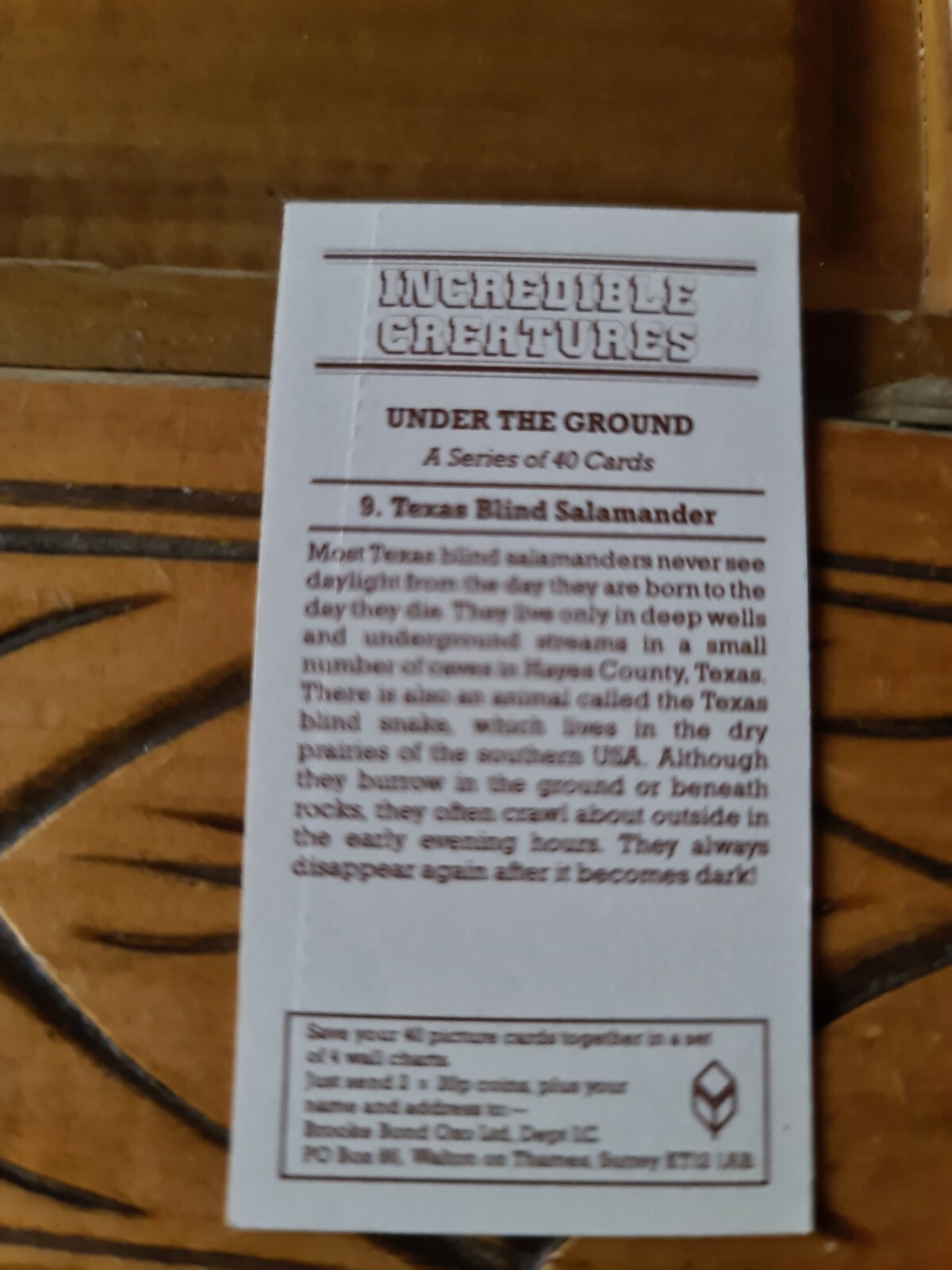 BROOKE BOND-INCREDIBLE CREATURES (**THICK STICKER CARD**) no9