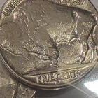 1937-D BUFFALO NICKEL 3 Legged Full Horn! + 50-1913 Mound BUFFALO NICKELS 🤩