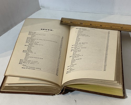 Antique Book 1876 Archdeacon's Kitchen Cabinet Old Lost Recipes Culinary Chef - Picture 15 of 20