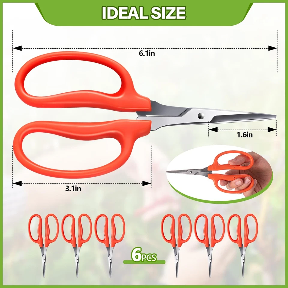6 Pcs Trimming Scissors for Grapes 6.1" Stainless Steel Professional Grape Ca... - Image 2 of 4