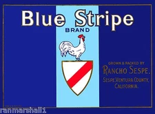 Fillmore Sespe Blue Stripe California Lemon Citrus Fruit Crate Label Art Print