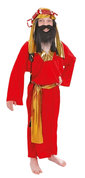 Christmas Boys Wise Man Nativity Costume Small