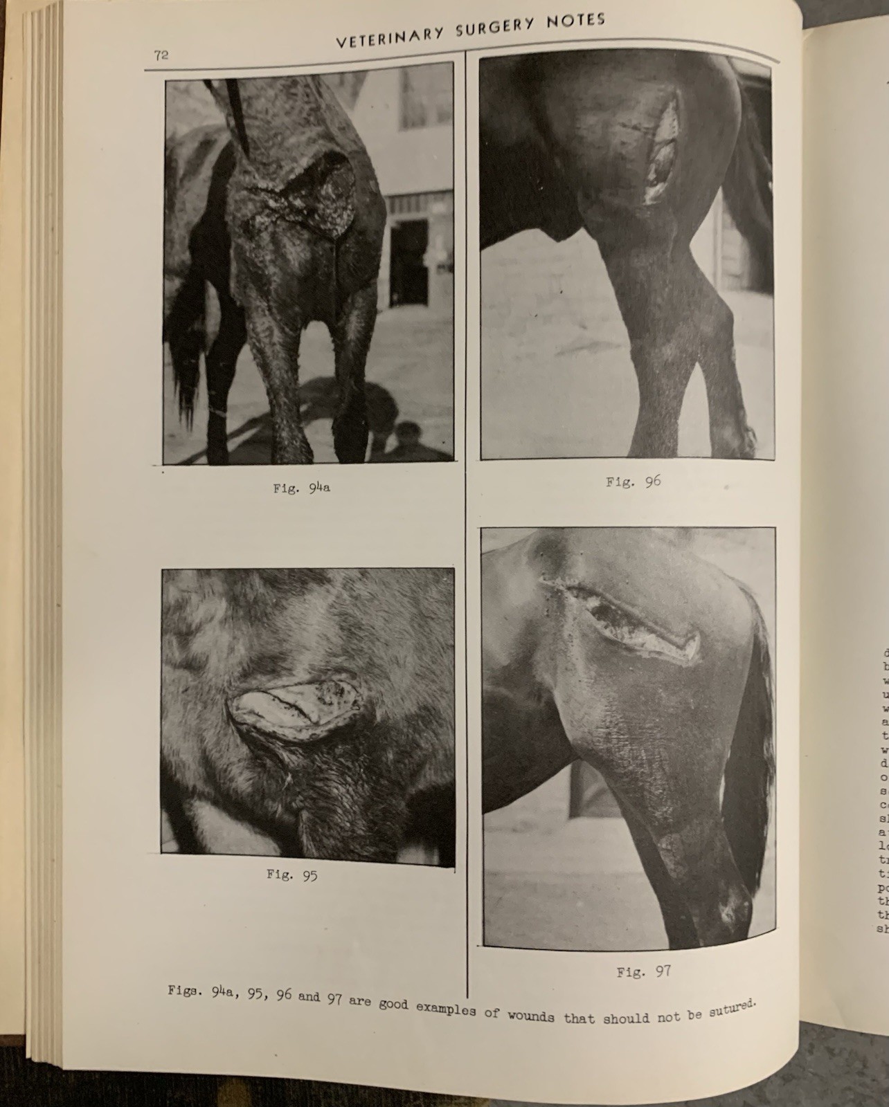 2-Vintage Veterinary Medical Books 1933 and 1944 HC