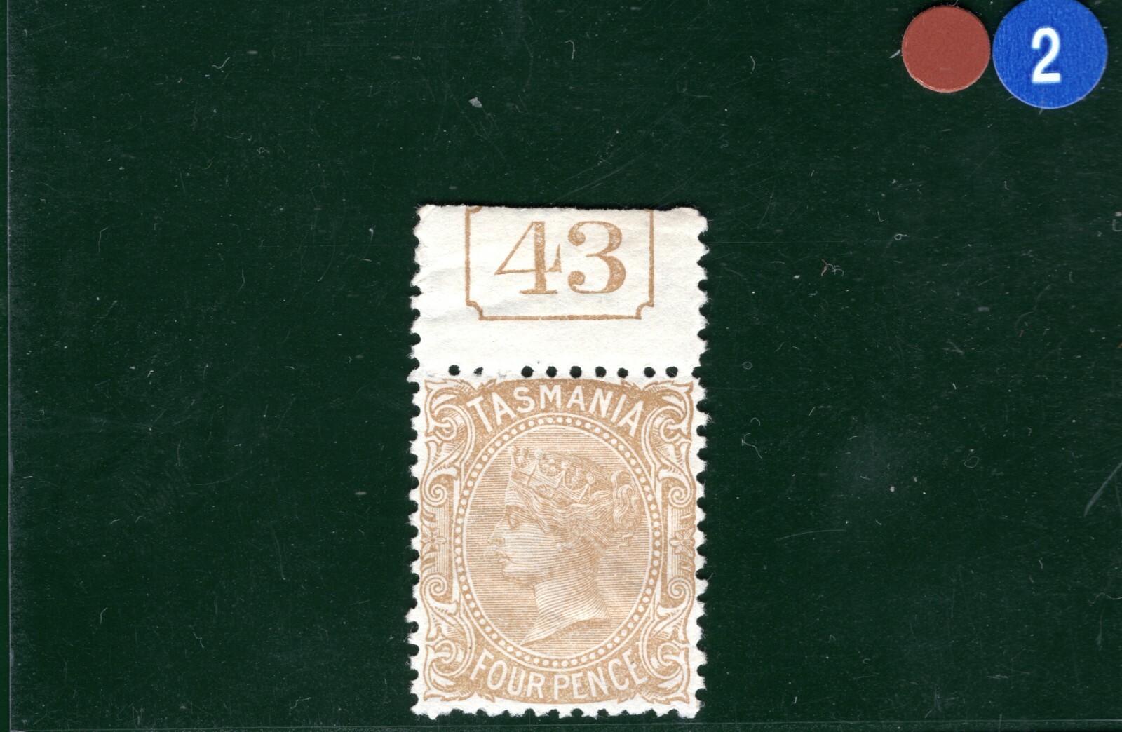 Picture 6 of 6