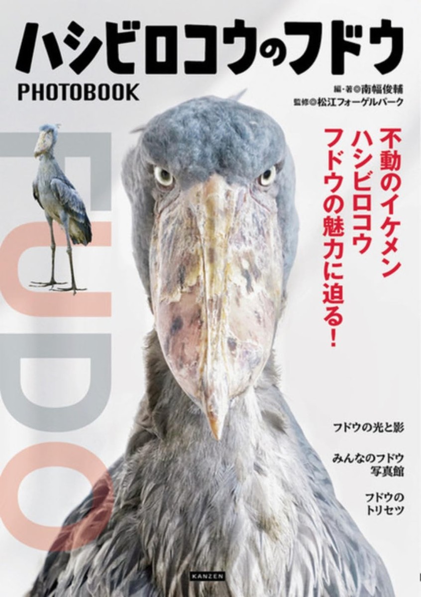 Shoebill Stork PHOTO BOOK - Japanese Craft Book | eBay