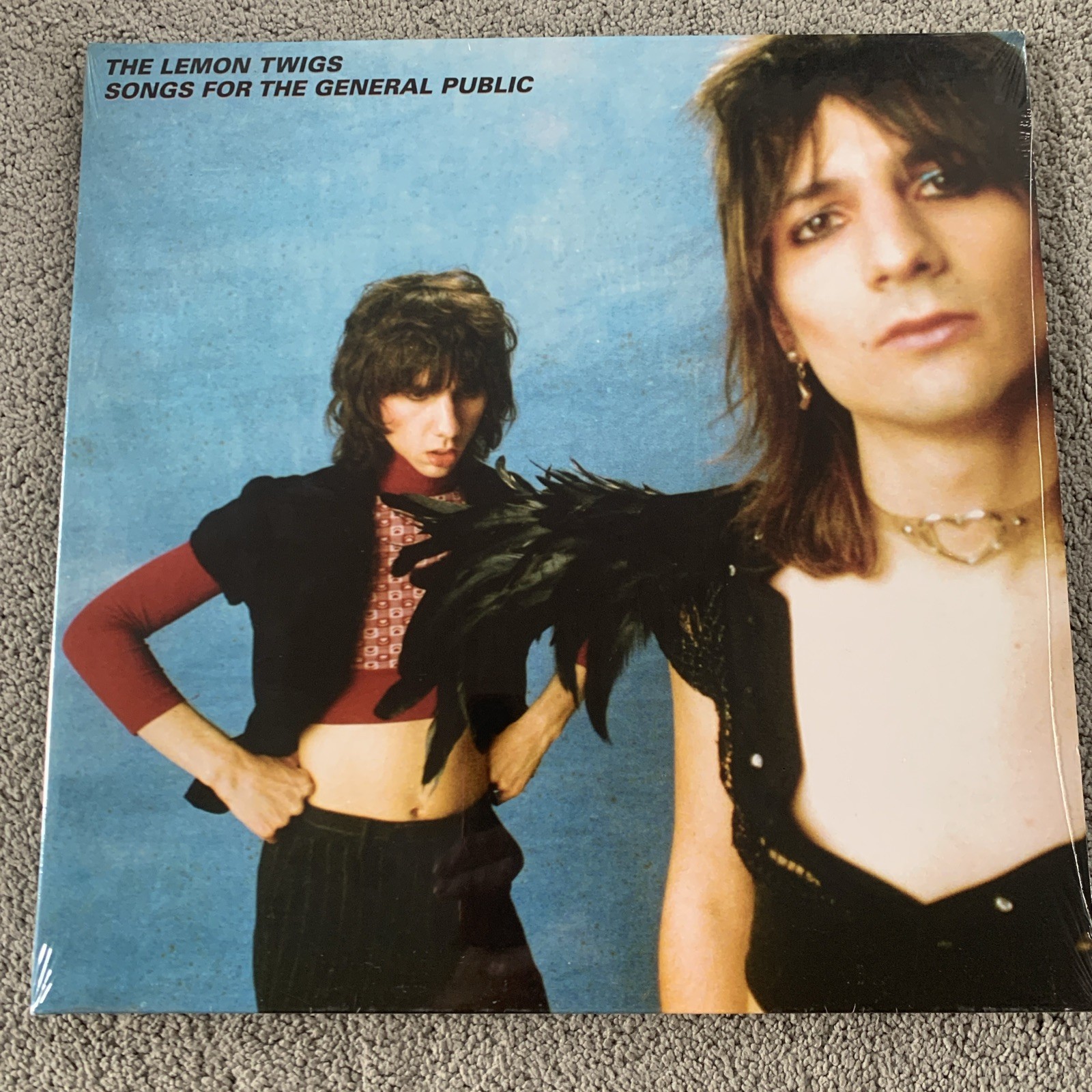 Songs for the General Public by The Lemon Twigs Vinyl Record, 2020 New Sealed