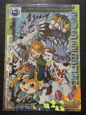 Ishida Yamato Digimon Adventure Trading Card Weregarurumon Used