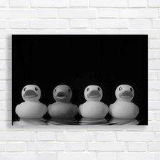 Rubber Ducks For A Fun Bathroom Experience Black White Canvas Print Large