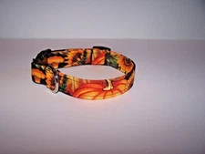 Wet Nose Designs Hello Fall Dog Collar Dark Brown Pumpkins Sunflowers Mushrooms