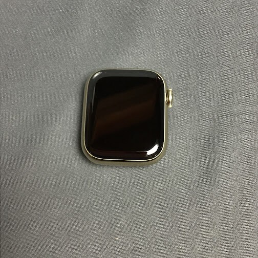 Apple Watch Series 7 41mm Gold Stainless Steel Case Gold Apple Watch Series 7 41mm Gold Stainless Steel Case Gold