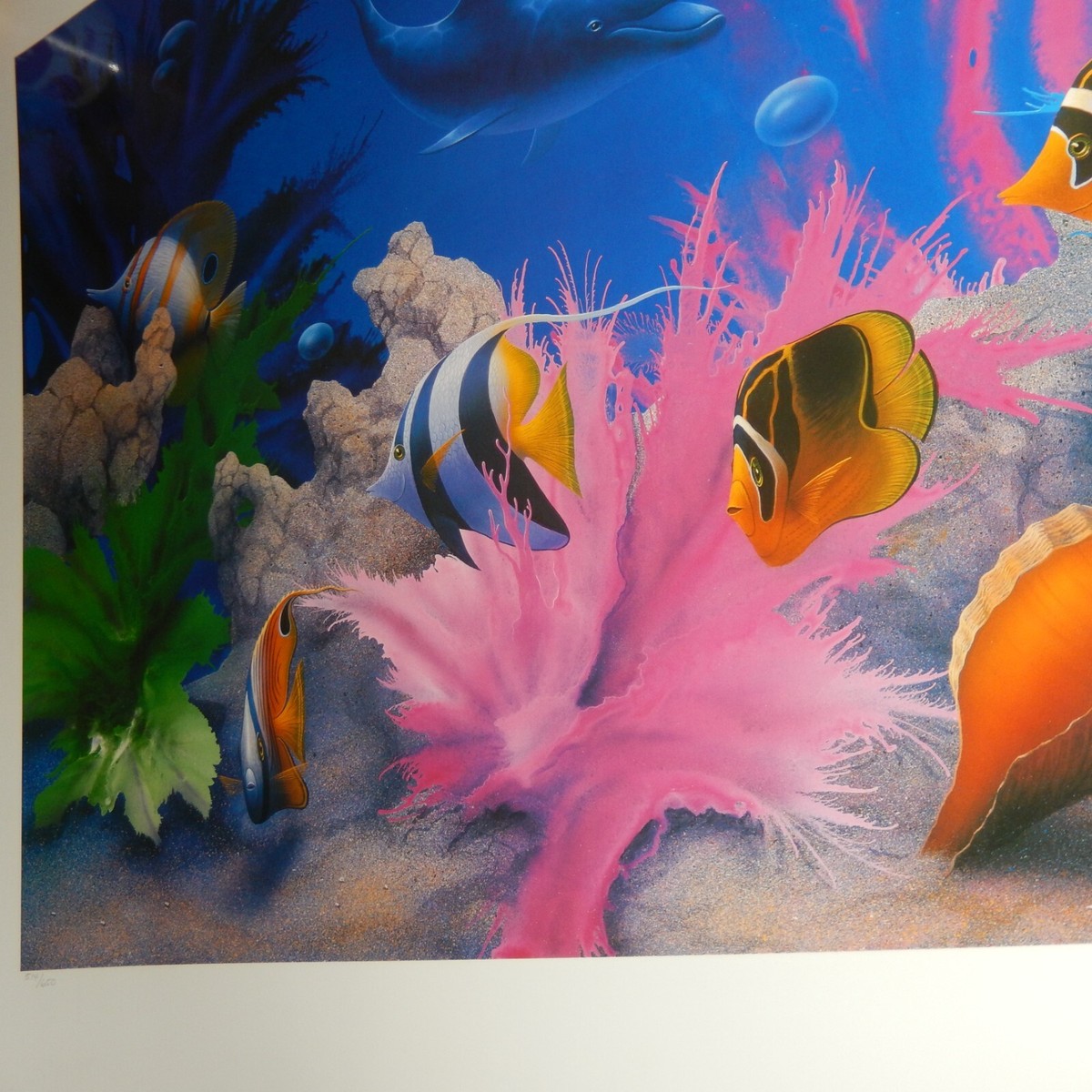Signed Numbered DAVID MILLER Limited Edition VIVID SPLENDOR 38
