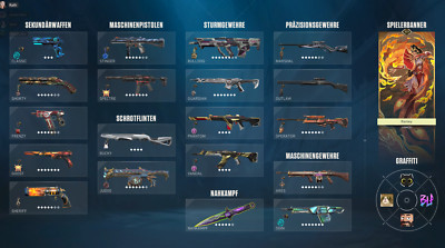 Valorant Account EU 190 Skins, every Champion & VCT Skin
