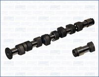 Nockenwelle Ajusa 93038100 FüR 1G1 19E Golf Polo 86C 80 VW 2 Classic Cat