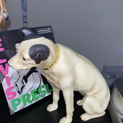 Vtg RCA Victor Nipper Dog 13” Glass Eyes Gold Collar Hard Plastic Store Display - Picture 4 of 12