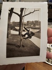Vintage Photo Snapshot Man Being Goofy Acting Like A Monkey Tree (F3)