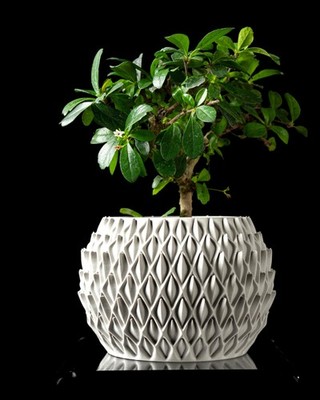Petal Planter Pot