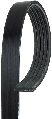 For 1996-2000 Nissan Pathfinder 3.3L Serpentine Belt Gates 159TK91 1997 1998